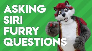 Asking Siri Furry Questions!