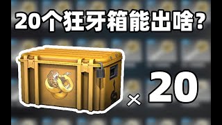 【CSGO开箱】最后亿次，20箱狂牙能出啥？！