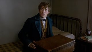 720P 2016 Online Fantastic Beasts And Where To Find Them Watch