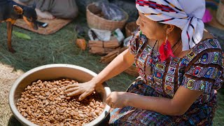 Ancestral Mayan Medicine Healing -  Nana Marina Cruz @ Heart \u0026 Mind Festival