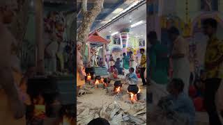 தென்தாமரைகுளம் பத்திரகாளி அம்மன் கோவில் கொடை Part 1