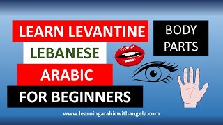 Body Parts- Levantine Arabic / Spoken Arabic- Lebanese - Learning Arabic With Angela