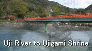 京都で川遊び！　宇治川　京都府　遊覧船で京都の自然を満喫   京都 066