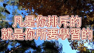 你必須學會生活的藝術——將它們蛻變成愛。【讀書增智】