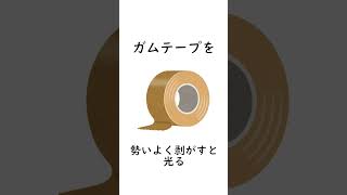 【雑学】9割が知らない面白い雑学＃雑学＃豆知識＃トリビア＃ショート