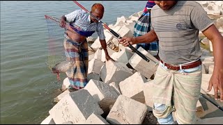 পদ্মা নদীতে বড়শি দিয়ে অনেক বড় কালিবাউস মাছ শিকার | Fishing in Padma River Awesome Fishing#big_fish