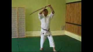 Bokken Kata 1 (AAA - Toyoda) With Count