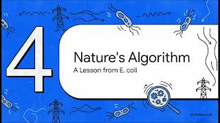 Grid Optimization Using the Bacterial Foraging Algorithm.