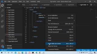 JavaScript Internal or Embedded