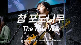 참 포도나무 | The True Vine | 요한복음 15:5 | 인크라이스트워십 | [LIVE]