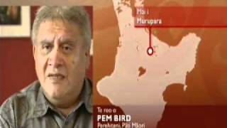 We discuss Hone Harawira complaint with Maori Party President Pem Bird