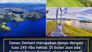 WOW TEMPAT WISATA PAPUA YANG PALING INDAH