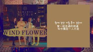 ll 韓中字 ll MAMAMOO 마마무 - / BETTER THAN I THOUGHT /