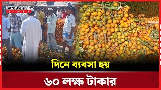 সুপারি চাষে ভাগ্য বদল? | Betel Nut