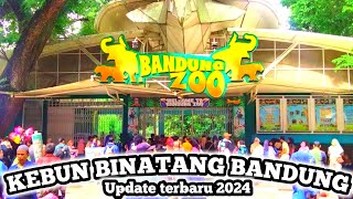 BANDUNG ZOO TERBARU 2024‼️KEBUN BINATANG BANDUNG TERKINI‼️