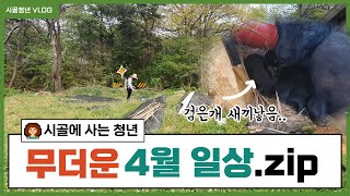 [시골청년VLOG] 시골청년 고추씨 얻으러갔다가..