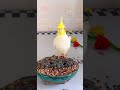 心中的苦楚只有自己最清楚！ pets birds funny parrot