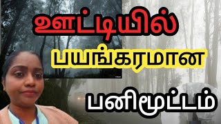 ஊட்டியை🚷❗️❓️ ஸ்தம்பிக்க வைத்த உறையும் பனி||ooty best climate || #travel #tamilqueenvlogs