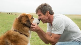 A DOG'S PURPOSE | Official Trailer | Universal Pictures Canada