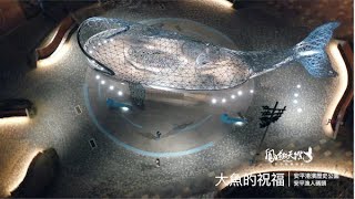 大魚的祝福｜夜空限定:會呼吸的台灣之心 4k空拍