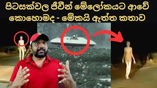 පිටසක්වලින් මෙලොවට ආපු කතාව | UFO Stories #aliens #sinhapawla #sinhadhanuma