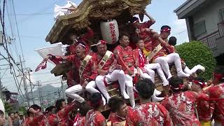 【新堂】「男道」令和元年５月12日 / 御即位奉祝祭①