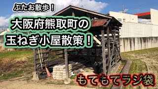 #1 ぶたお散歩！南大阪の熊取町を紹介する！？