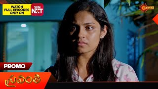 Sravana Sandyaa - Promo |22 May 2024  | Telugu Serial | Gemini TV