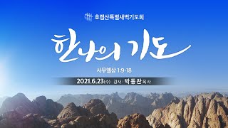 호렙산 17일차. 한나의 기도  (삼상 1:9-18)