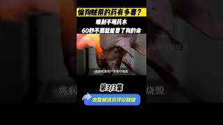 偷狗贼用的药有多毒，喷射不明药水 ，60秒不到就能要了狗命！(Part 3/3) #西风探瘦马 #自然 #科普