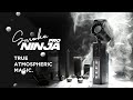 PMI SmokeNINJA PRO - Handheld Fog Machine - Product Video