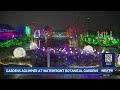 Waterfront Botanical Gardens shine for 6th annual Gardens Aglimmer