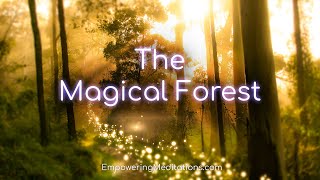 The Magical Forest - Guided Meditation Visualization For Deep Relaxation & De-Stressing