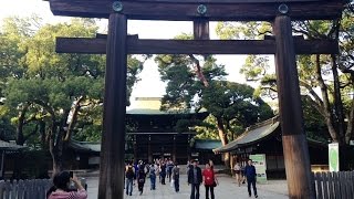 明治神宮の御朱印　by御朱印ガール　Meiji Shrine Shuin