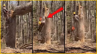 Man Almost RIPPED APART While Cutting A Tree || 40 Terrifying Tree Accidents