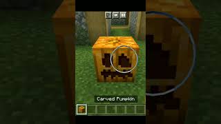 Most Epic Trap in Minecraft #shorts