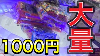 【クレーンゲーム】小学生が1000円チャレンジ！大量ゲット！トライポッド