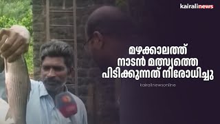 മഴക്കാലത്ത് നാടൻ മത്സ്യത്തെ പിടിക്കുന്നത് നിരോധിച്ചു | FISH | RAIN