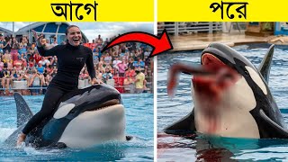 যে পালিত পশু তার মালিক কেই আক্রমণ করেছিল | 10 Animals That Ate Their Owners