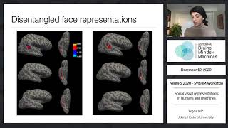 Social visual representations in humans and machines