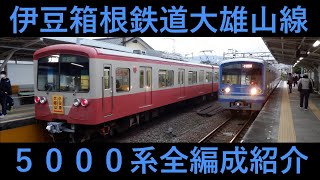 伊豆箱根鉄道大雄山線5000系 全編成紹介