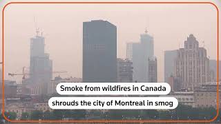 Wildfires shroud Montreal in smoke