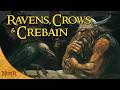 Ravens, Crows, & the Crebain from Dunland | Tolkien Explained