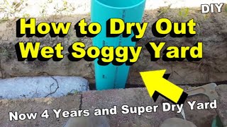 How to SOLVE a Wet Soggy Yard, GUARANTEED! Now 4 Years and Still Super Dry