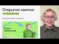 Вся ботаника за один урок. Теория которая точно пригодится тебе на ОГЭ и ЕГЭ