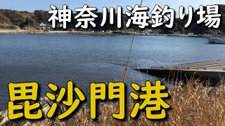 神奈川釣り場 三浦半島 毘沙門港 盗人狩 サビキ釣り クロダイ釣り メジナ釣り シーバス釣り エギング アジング メバリング MANCING MANIA JAPAN