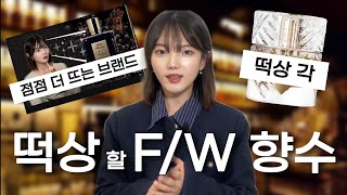 뜬금 없이 조회수 1.2만 떡상중인 이 브랜드, FW향수로 이것도 괜찮습니다!