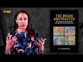 Why AI Has a Plato Problem — Mazviita Chirimuuta