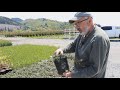 Berburu Bahan Bonsai di Pembibitan Tanaman – Bahan Baku Bonsai