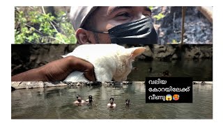 |യാത്രയിക്ക് ഇടയിൽ പൂച്ചക്കുട്ടി കോറയിലേക്ക്😱🥵🙏|